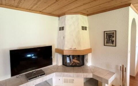 Lenk 755: Interieur Ontwerp, Hout, Flooring, Verdieping, Meubilair, Haard, Plafond, Kamer, Woonkamer, Televisie