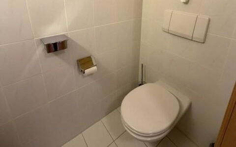Lenk 755: Wc Bril, Toilet, Muur, Badkamer, Flooring, Verdieping, Loodgieterswerkinrichting, Tegel, Interieur Ontwerp, Loodgieter