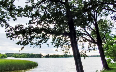 Trebon 1: Watervoorraden, Water, Zwemwater, Groen, Natuur, Natuurlijke Omgeving, Blad, Afdeling, Natuurlijk Landschap, Vegetation