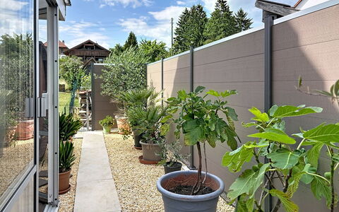 Bionestlein Premium-Appartment mit Sauna: Struik, Bloempot, Samengesteld Materiaal, Tuin, Schaduw, Kamerplant, Beton, Landscaping, Binnenplaats, Ontwerp