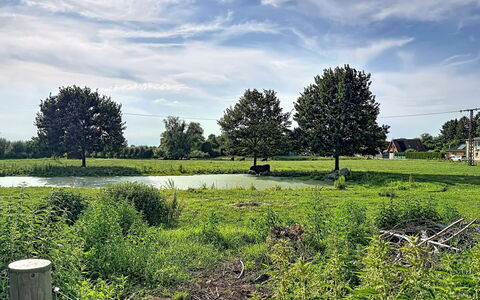 Chrischi: Lucht, Gras, Boom, Natuurlijke Omgeving, Natuur, Groen, Natuurlijk Landschap, Vegetation, Wolk