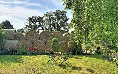 Chrischi: Groen, Gras, Struik, Tuin, Gazon, De Lente, Schaduw, Weide