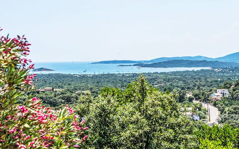 Sainte Lucie Porto Vecchio 650: Balkon, Beits, Kamerplant, Buitenmeubels, Bloempot