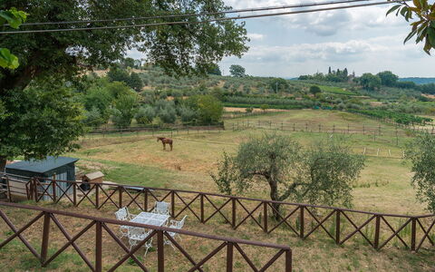 Casa Elia 6: Boom, Plain, Landelijk Gebied, Hek, Pasture, Home Schermen, Park, Boerderij, Boerderij