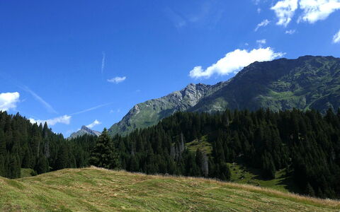 Nido delle Alpi: Lucht, Berg, Blauw, Bergachtig Landvormen, Groen, Natuur, Natuurlijke Omgeving, Heuvel, Natuurlijk Landschap, Wolk