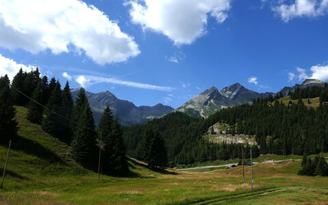 Nido delle Alpi: Lucht, Berg, Bergachtig Landvormen, Gras, Natuur, Groen, Heuvel, Natuurlijke Omgeving, Natuurlijk Landschap