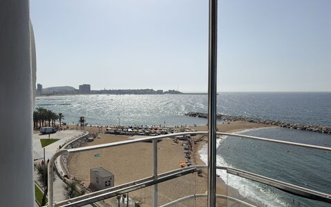 Clara: Zwemwater, Horizon, Waterweg, Zee, Kust En Oceanic Landvormen, Kust, Oceaan, Strand, Kust, Hek