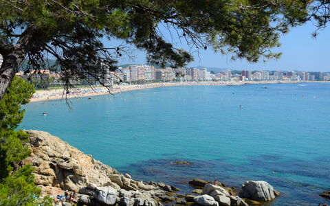 Clara: Blauw, Kust, Zwemwater, Strand, Kust En Oceanic Landvormen, Zee, Kust, Oceaan, Inham, Headland