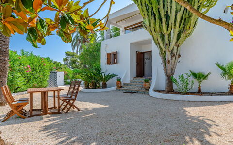 Can Nura: Woody Plant, Landgoed, Schaduw, Landscaping, Tuin, Tropen, Toevlucht, Hacienda, Villa