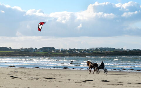 Le Jardin du Calme: Strand, Recreatie, Zee, Kust, Kust En Oceanic Landvormen, Wind Wave, Oceaan