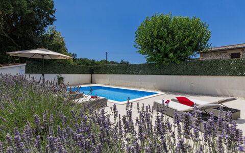 Trošti: Struik, Tuin, Zwembad, Landscaping, Bloempot, Backyard, Werf, Buitenmeubels, Binnenplaats