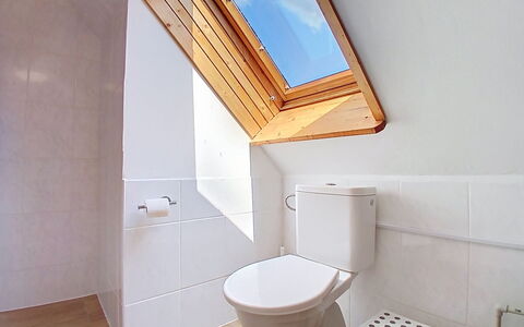 Cerny Dul 400: Flooring, Verdieping, Hout, Loodgieterswerkinrichting, Interieur Ontwerp, Plafond, Badkamer, Loodgieter, Kamer, Tegel