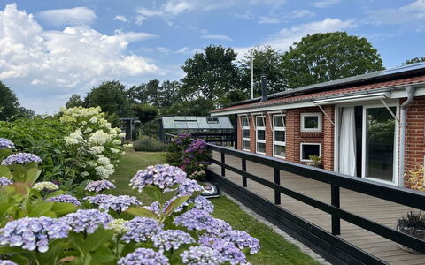 Annalina - 230M from the Sea: Struik, Groundcover, Tuin, Werf, Landscaping, Schaduw, Balkon, Backyard, Hortensia