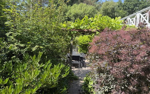 Lonneke - from the Sea: Struik, Plantengemeenschap, Tuin, Woody Plant, Landscaping, Backyard, Botanische Tuin, Evergreen, Buitenmeubels