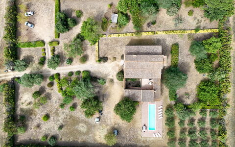 Mas Nualart: Struik, Landschap, Land Lot, Huis, Landgoed, Landelijk Gebied, Tuin, Verblijf, Plantage, Landscaping