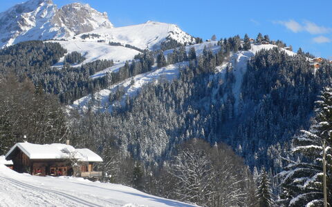 Chalet 1899: Sneeuw, Bergachtig Landvormen, Berg, Boom, Winter, Bergketen, Hoogland, Heuvel, Heuvel Station, Landschap
