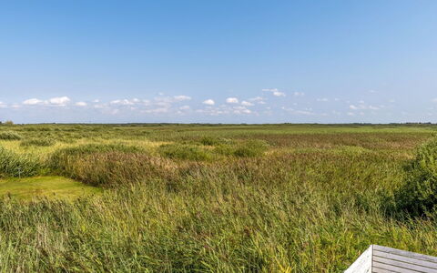 Scarlet - 500M from the Sea: Lucht, Gras, Groen, Grasland, Natuurlijke Omgeving, Vegetation, Ecoregio, Natuurlijk Landschap, Plain, Prairie