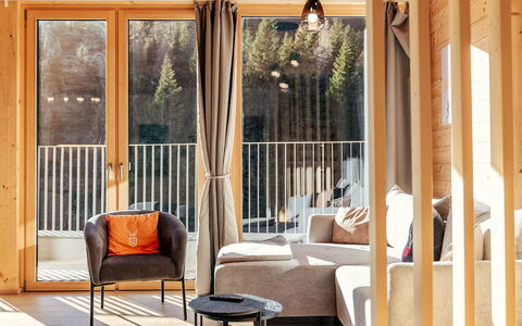 Niederwölz 609: Hout, Interieur Ontwerp, Meubilair, Flooring, Verdieping, Verlichting, Stoel, Huis, Houten Vloer, Beits