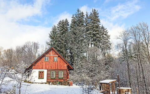 U Kazíků: Boom, Huis, Hout, Huis, Verblijf, Winter, Dak, Sneeuw, Landelijk Gebied, Freezing