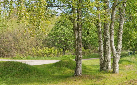 Wreth - 1.5Km from the Sea: Blad, Groen, Boom, Gras, Afdeling, Natuurlijke Omgeving, Natuur, Vegetation, Natuurlijk Landschap, Struik