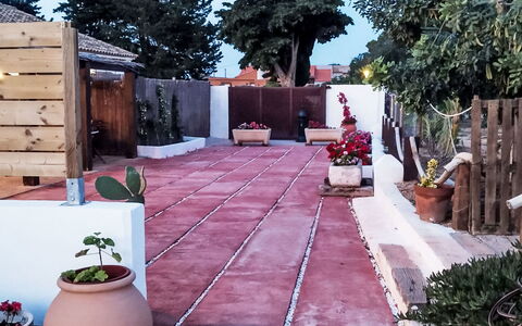 Mar de Cristal Playa Honda 500: Bloempot, Verdieping, Flagstone, Steen, Tuin, Beton, Kamerplant, Gang, Binnenplaats, Backyard