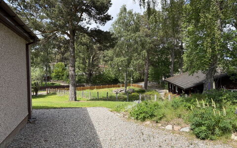 Glencarr: Boom, Struik, Huis, Huis, Verblijf, Tuin, Land Lot, Groundcover, Backyard