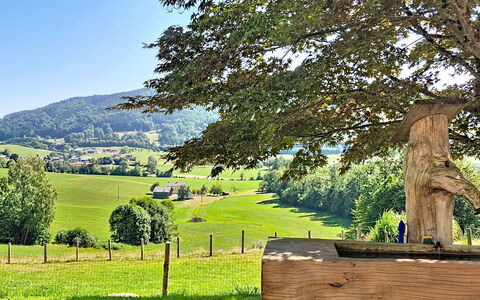 Roiderhof: Blauw, Balkon, Leuning, Appartement, Hek, Zee, Toevlucht, Condominium, Zwembad, Hotel