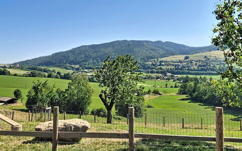 Roiderhof: Blauw, Balkon, Leuning, Appartement, Hek, Zee, Toevlucht, Condominium, Zwembad, Hotel