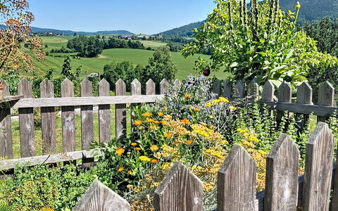 Roiderhof: Blauw, Balkon, Leuning, Appartement, Hek, Zee, Toevlucht, Condominium, Zwembad, Hotel