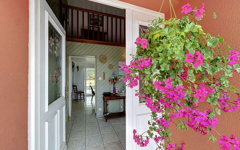 La Toulière: Bloem, Roze, Bloempot, Kamerplant, Bloemisterij, Bloemdessin, Balkon, Home Deur