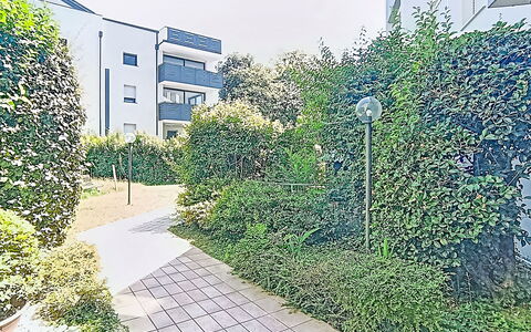 Monica: Struik, Woongebied, Stedelijk Ontwerp, Appartement, Groundcover, Tuin, Haag, Condominium, Schaduw, Voorstad