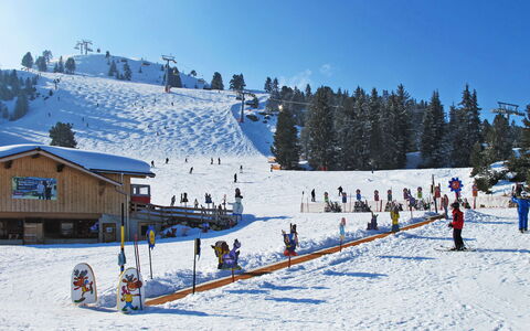 Eberharter am Schweinberg: Boom, Sneeuw, Winter, Recreatie, Piste, Heuvel Station, Freezing, Helling, Glacial Landform