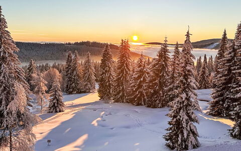 Rebelka: Lucht, Winter, Sneeuw, Boom, Afdeling, Natuur, Natuurlijk Landschap, Zonsopkomst, Wildernis, Zonsondergang