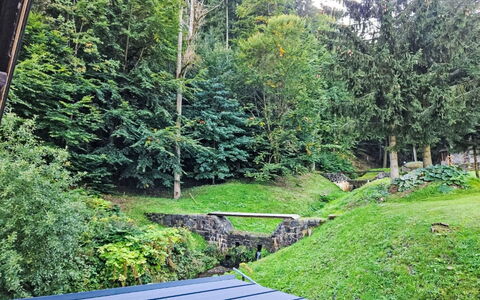 Sára: Gras, Groen, Blad, Vegetation, Struik, Tuin, Groundcover, Landscaping, Gazon