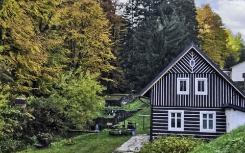 Sára: Groen, Boom, Gras, Blad, Huis, Struik, Huis, Verblijf, Groundcover, De Lente
