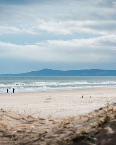 Willow'S Retreat