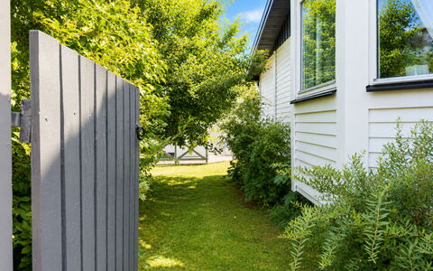 Lyckan: Groen, Struik, Siding, Tuin, Backyard, Groundcover, Hek, De Lente, Schaduw, Home Schermen