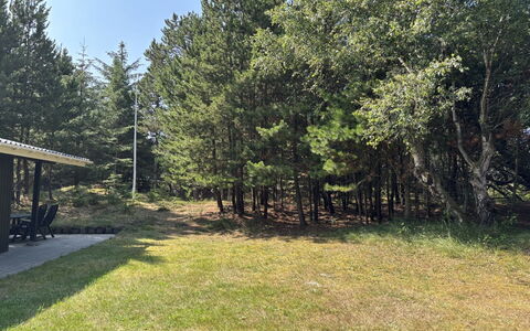 Hardina - 1Km from the Sea: Boom, Gras, Blad, Plain, Land Lot, Trunk, Gazon, Weide, Schaduw, Bos