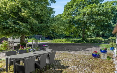 Thilo - 39Km from the Sea: Struik, Tuin, Schaduw, Groundcover, Verblijf, Gazon, Werf, Landscaping, Backyard