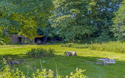 Thilo - 39Km from the Sea: Gras, Boom, Natuurlijke Omgeving, Natuur, Blad, Vegetation, Grasland, Struik, Tuin