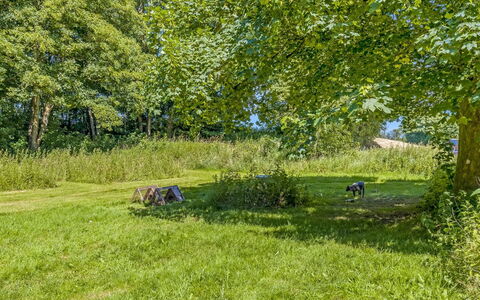 Thilo - 39Km from the Sea: Blauw, Boom, Gras, Blad, Groen, Natuurlijke Omgeving, Grasland, Struik, Land Lot, Plain