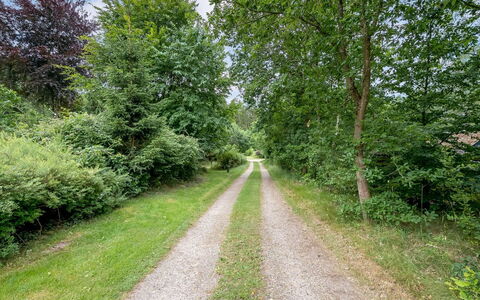Ry 601: Boom, Blad, Groen, Gras, Vegetation, Weg, Natuurlijk Landschap, Struik, Trail, Doorgang