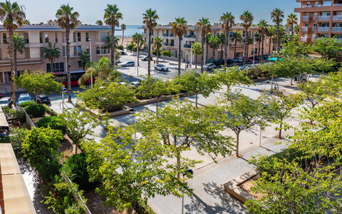 Mare Nostrum: Boom, Woongebied, Buurt, Openbare Ruimte, Stedelijk Ontwerp, Appartement, Gemengd Gebruik, Schaduw, Voorstad