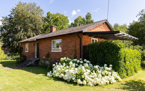 Villa Fröseke: Gras, Huis, Struik, Dak, Verblijf, Tuin, Huis, Land Lot, Gazon