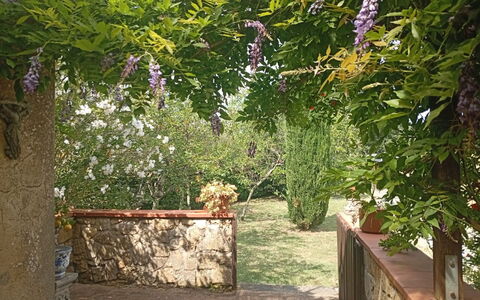 Podere Dolce Sonno e Sonnellino: Struik, Tuin, De Lente, Groundcover, Schaduw, Werf, Backyard, Landscaping, Outdoor Structuur, Pergola
