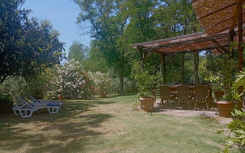 Podere Dolce Sonno e Sonnellino: Struik, Meubilair, Tuin, Schaduw, Backyard, Gazon, Stoel, Buitenmeubels, Outdoor Structuur