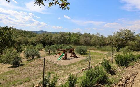 La Calcinaia Country Villa, Bucine: Boom, Vegetation, Landschap, Plantengemeenschap, Landelijk Gebied, Land Lot, Plain, Bodem, Shrubland, Pasture