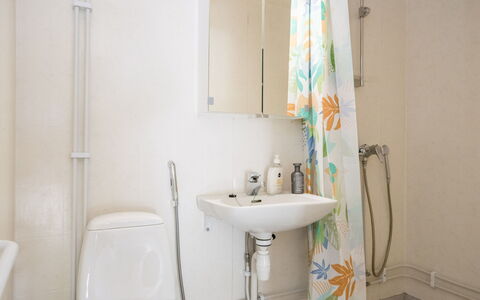 Heinävesi Homes D2: Wastafel In De Badkamer, Badkamer, Loodgieterswerkinrichting, Muur, Wastafel, Interieur Ontwerp, Toilet, Verdieping, Kraan, Loodgieter