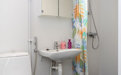 Heinävesi Homes D5: Badkamer, Loodgieterswerkinrichting, Wastafel In De Badkamer, Wastafel, Toilet, Interieur Ontwerp, Kraan, Wc Bril, Loodgieter, Flooring