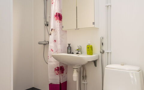 Heinävesi Homes D8: Badkamer, Loodgieterswerkinrichting, Wastafel In De Badkamer, Interieur Ontwerp, Flooring, Wastafel, Verdieping, Kraan, Toilet, Loodgieter